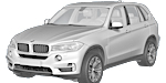BMW F15 P010F Fault Code